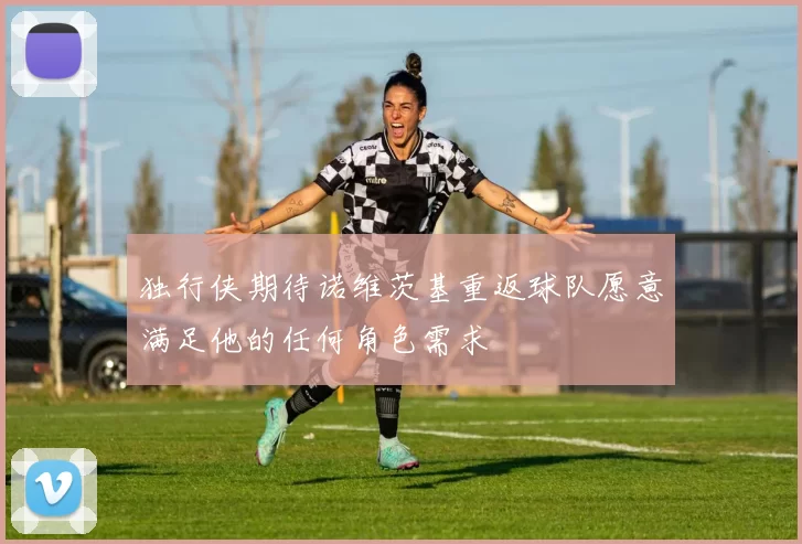 独行侠期待诺维茨基重返球队愿意满足他的任何角色需求
