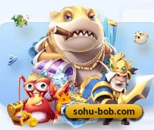 BOB体育的故事